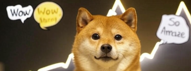 Shiba Meme